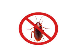 We offer multiple quotes that help to compare pest control price or charges in bangalore. Kiran Enterprises Pest Control Services