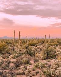 Lambert ln., oro valley, az 85737. Jth Tucson Sagauro National Park Tucson Az Airbnb