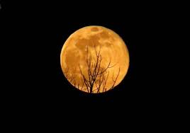 Когда полнолуние в июле 2021. 5 Yguriuww Vtm