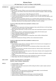 senior talent management consultant