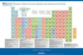 Periodic Table Human Cytokine And Chemokine Families R D