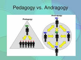 andragogy custom paper example december 2019