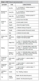 Spinal Cord Injury Experimental Model And Motion Evaluation