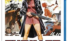 Film Review: Thriller: A Cruel Picture (1973) | HNN