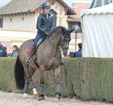 Check spelling or type a new query. Charlotte Dujardin And Valegro A Happy Story The Horse Magazine