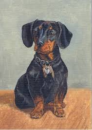 Feel free to browse hundreds of active classified puppy for sale listings, from dog breeders in pa and the surrounding areas. Dachshund Friendship Club