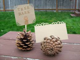 Pinecone Placeholders Forest Friends Baby Shower Forest Baby Showers Animal Baby Shower