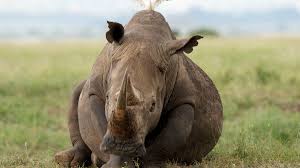 Onlytaboo porno jolly Kaia is a fantastic escort and I