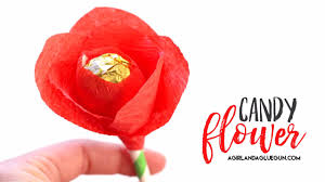 Maybe you would like to learn more about one of these? How To Make A Candy Flower Bouquet Youtube