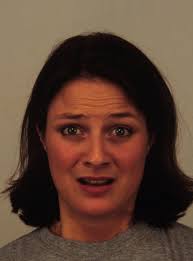 Face2Emoji: Using Facial Emotional Expressions to Filter Emojis