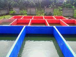 1,624 kolam terpal products are offered for sale by suppliers on alibaba.com, of which other fabric accounts for 1 there are 25 suppliers who sells kolam terpal on alibaba.com, mainly located in asia. Cara Budidaya Ikan Lele Di Kolam Terpal Lengkap Untuk Pemula Kolam Terpal Ikan