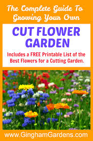 Pin On Cut Flower Garden