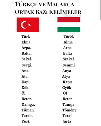 Instagram Turkicgirltr Turk Dilleri Ders Programlari Bilim Projeleri