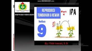 Check spelling or type a new query. Rangkuman Ipa Kelas 9 Semester 1