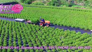 Pch offers fun quizzes on a wide range of topics. Floral Acres Llc