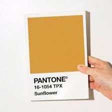 Pin By Alex Robertson On Color Palette In 2020 Tropical Design Pantone Color Chart Logo Design