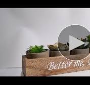 YVONNEYI 5 Pièces Petite Plantes Artificielles Interieur avec Boîte de  Rangement en Bois, Succulentes Plantes Grasses pour Decoration Chambre,  Fausse ...