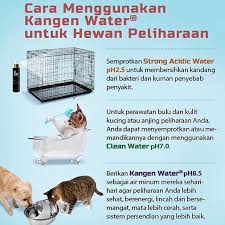 Tunggu 30 menit dan makan makanan. Kangenworld Instagram Posts Photos And Videos Picuki Com