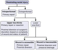 Image result for PECARN Pediatric Intra-Abdominal Injury Algorithm