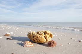 The island inn sits on 550 feet of pristine sanibel island beach and has amenities that really set it apart from the other hotels/resorts on the island. 9 Off The Radar Florida Islands You Need To Visit Oyster Com
