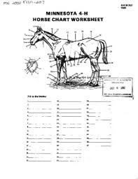 minnesota 4 h horse chart worksheet