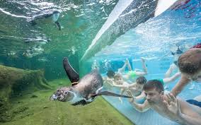 Die 11 Besten Erlebnisbader Und Wasserparks In Berlin 2021 Inkl Karte