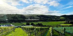 Welsh Wine Week Y Marram X Gwinllan