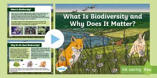 A habitat is an area occupied by many species. What Is A Habitat Teaching Wiki