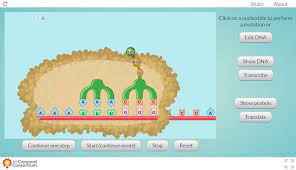 Pin On Science Computer Simulations