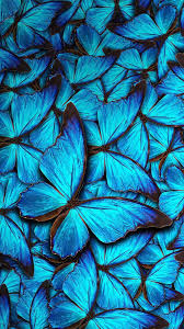 Superficial with a rotten soul. 980542 Min Wallpaper Enjpg