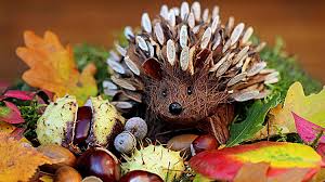 Herbstliche Tischdeko Einfach Selber Machen Gartencenter Mencke