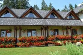 In fiecare zi apar oferte speciale sau oferte last minute la diferite programe turistice; Pensiunibucovina Ro Top Pensiuni Din Bucovina