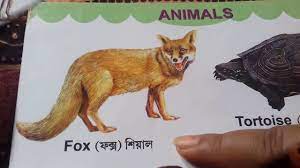 Animal S Name For Kids English To Bengali Wild Animals Name Learn Animal Names With Arnab Youtube