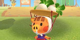 Acnh: Daisy Mae, Turnip Lady - How To Meet? | Gamepressure.Com