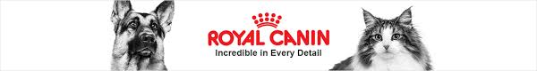 Each product utilizes a unique set of ingredients to achieve a desired nutritional profile. Royal Canin Prescription Cat Food Treats 35 Off Repeat Delivery Petco