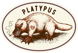 Image result for Platterpus