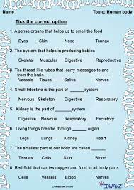 5 3rd Grade Science Worksheets Worksheets For Grade 3 Science Worksheets Human Body Worksheets