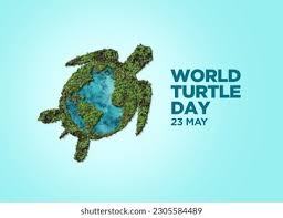 [Image: images?q=tbn:ANd9GcR4cvul8aNgZIywDavtEc1...5Mb9wopA&s]