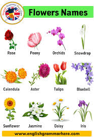 We did not find results for: Teal Flowers Names Novocom Top