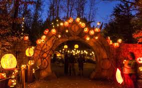 Apply to paid intern, specialist, veterinary technician and more! The Minnesota Zoo S Jack O Lantern Spectacular Returns Mpls St Paul Magazine