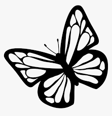 Transparent simple butterfly outline clipart 6232132. Butterfly Black And White Clipart Download Free Images Butterfly Clipart Black And White Hd Png Download Kindpng