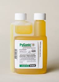 Image result for Pyrethrin