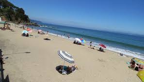 Encontrá las mejores ofertas a brasil, uruguay, caribe, argentina y cualquier destino del mundo. Permiso De Vacaciones 12 Claves Para Entender Como Funcionara