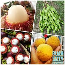 Secara amnya jenis buah yang berisi merah mengandungi vitamin c yang lebih tinggi berbanding buah yang berisi putih. Buy Buah Buahan Tempatan Rambutan Cempedak Manggis Seetracker Malaysia