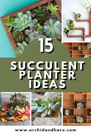 3 small to medium tin planters. 15 Unique Diy Succulent Planter Ideas For 2021 Succulents Planter Ideas Succulent Planter Diy Verticle Garden