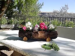 Pin En Jardineria