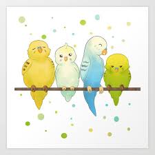 Drawing Digital Illustration Modern Cute Polkadots Animal Bird Budgie Parakeet Pets Cartoon Yellow Green Blue White Childre Budgies Cartoon Drawings Art Prints