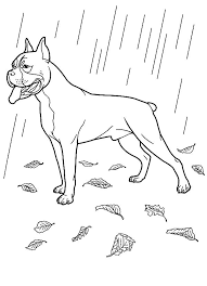 Scroll down to enjoy a huge selection of dog pictures. Rain 158465 Nature Printable Coloring Pages