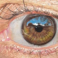 Hyperrealistic Eyes Drawn With Colored Pencils Realistic Drawings Realistic Eye Drawing Eye Illustration