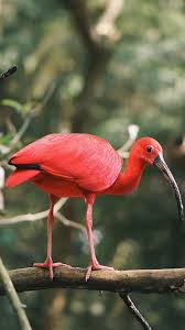 Check spelling or type a new query. De Meest Bijzondere Bezienswaardigheden Van Suriname Anwb